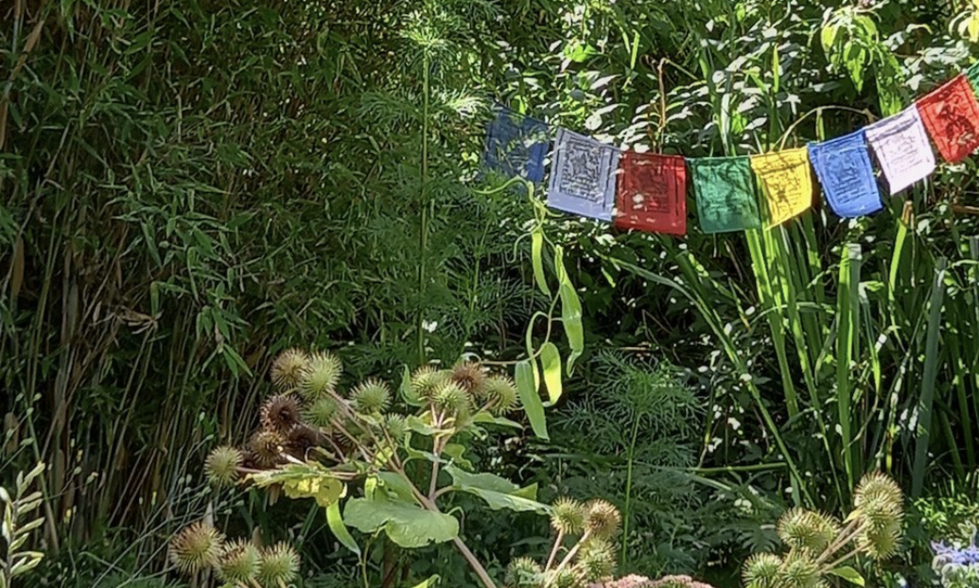 Prayer flags in our summery garden